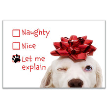 Load image into Gallery viewer, Front of the 'Let Me Explain' Christmas card featuring a mischievous dog with a red bow on his head, with 3 checkboxes with the options of Naughty, Nice or Let me explain and the dog humorously put a paw print in the Let me explain box. Ideal for a fun and cheeky holiday greeting.