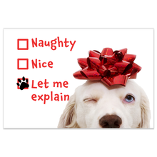 Load image into Gallery viewer, Funny Let Me Explain Naughty Dog Christmas Cards - White Labrador Retriever - Set of 20