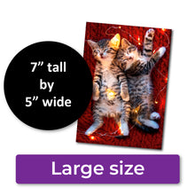 Load image into Gallery viewer, ✨FUNDRAISER!✨ Kittens in Lights Christmas Card for Pup & Cat Co.