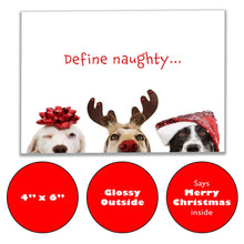 Load image into Gallery viewer, Funny dog Christmas card with 3 mischievous pups and ‘Define Naughty’ caption