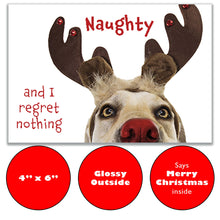 Load image into Gallery viewer, Cheeky dog Christmas card with a playful pup wearing reindeer antlers and the phrase ‘Naughty and I regret nothing