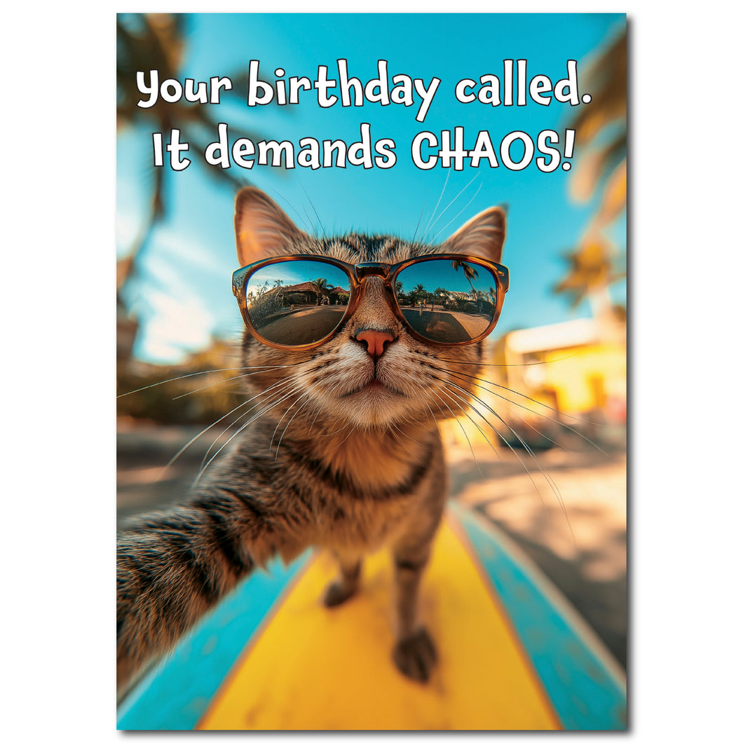 Funny Cat Birthday Card for Men, Women, Friends, Family or Coworkers, 5x7 with Envelope