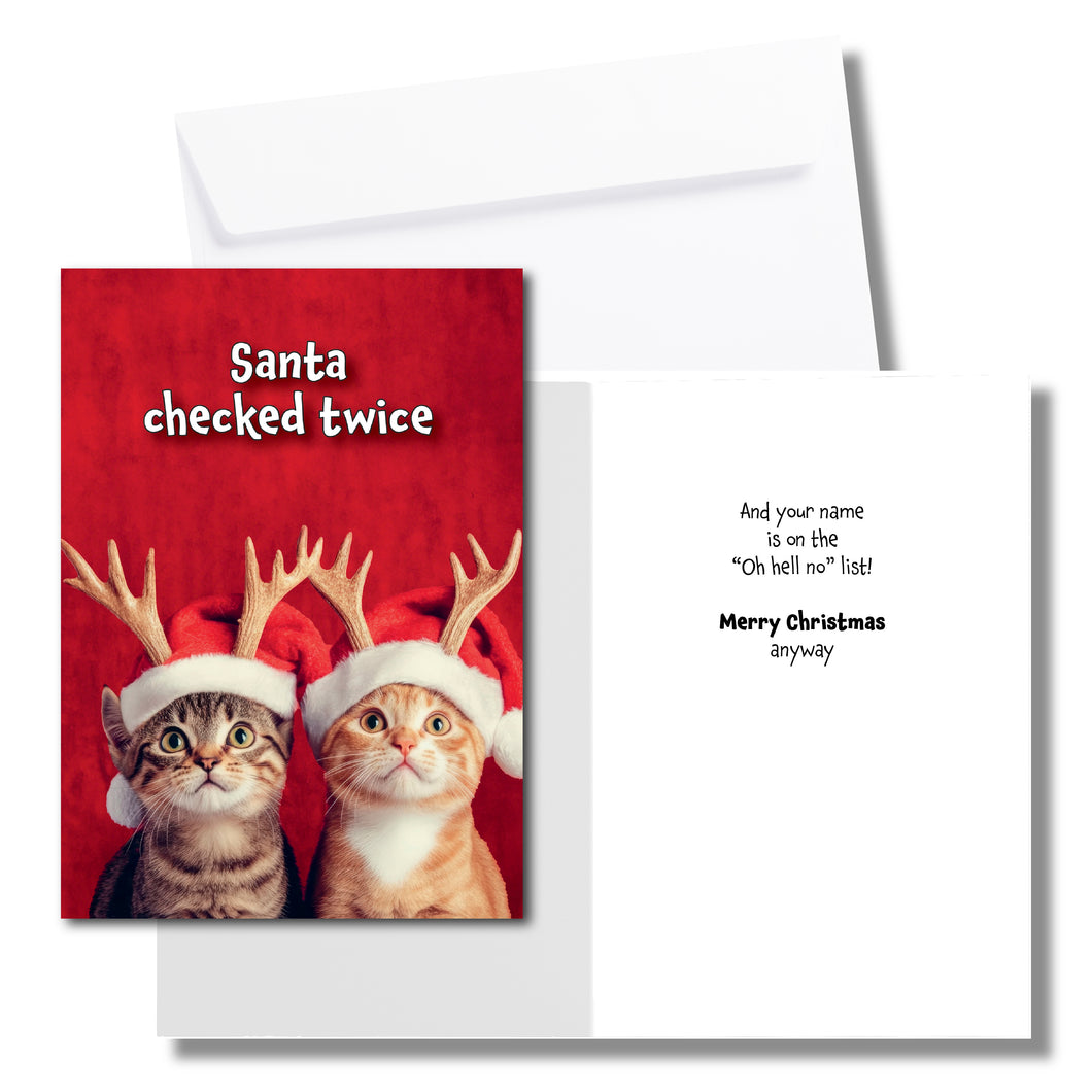 Funny Cat Christmas Card – “Santa Checked Twice”