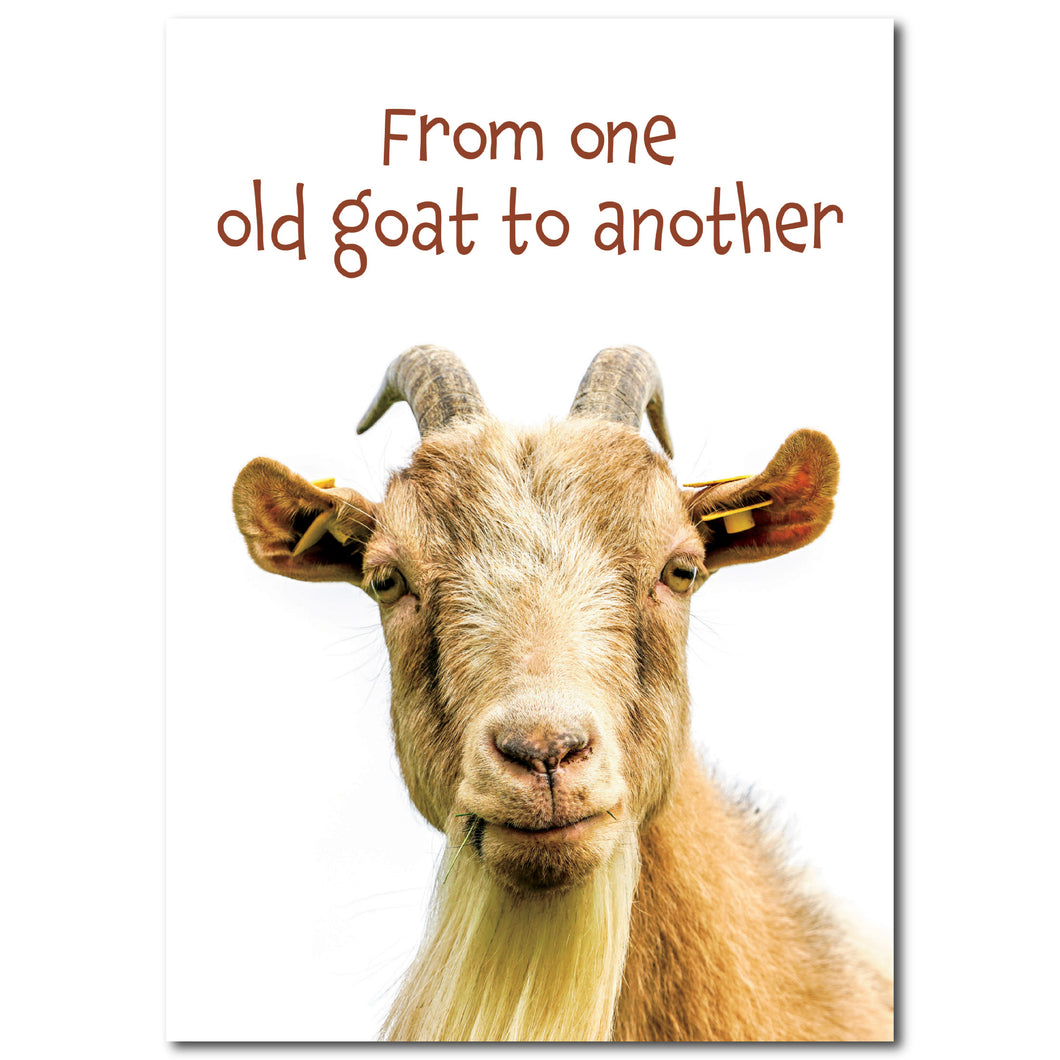 From One Old Goat to Another Birthday Card