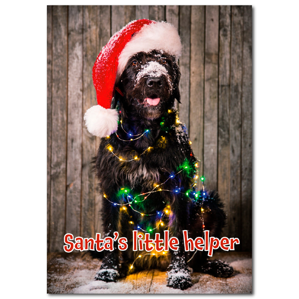 ✨FUNDRAISER!✨ Santa's Little Helper Dog Christmas Card for Pup & Cat Co.