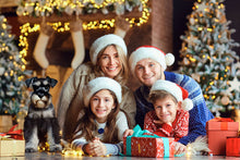 Load image into Gallery viewer, ✨FUNDRAISER!✨ It’s the Most Wonderful Time of the Year Christmas Card for Schnauzer Love Rescue, Inc.
