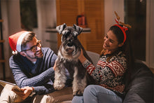 Load image into Gallery viewer, ✨FUNDRAISER!✨ It’s the Most Wonderful Time of the Year Christmas Card for Schnauzer Love Rescue, Inc.
