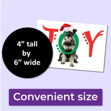 Load image into Gallery viewer, A white Christmas card with a schnauzer dog on the front with the word JOY. The J and Y are red, and the O is green and wrapped around the dog&#39;s neck. The card is a convenient size at 4&quot; tall by 6&quot; wide.
