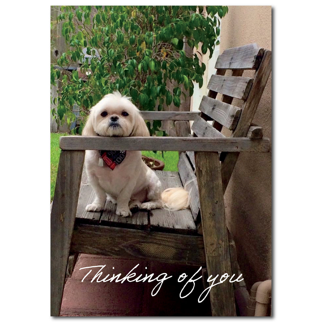 Thinking of You Card with Adorable Shih Tzu