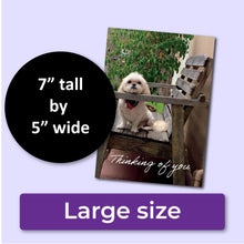 Load image into Gallery viewer, Thinking of You Card with Adorable Shih Tzu
