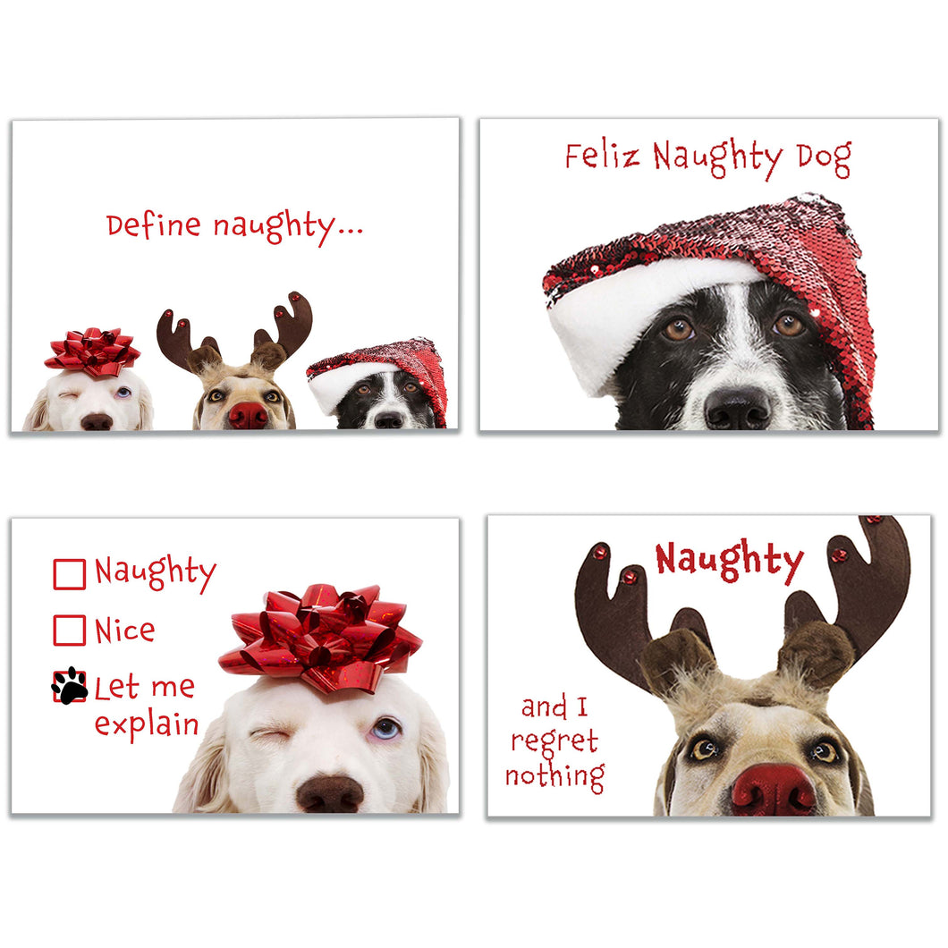 Funny Naughty Dog Christmas Cards in four festive designs